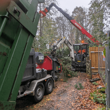 Transform Arboriculture Ltd — gallery image 2